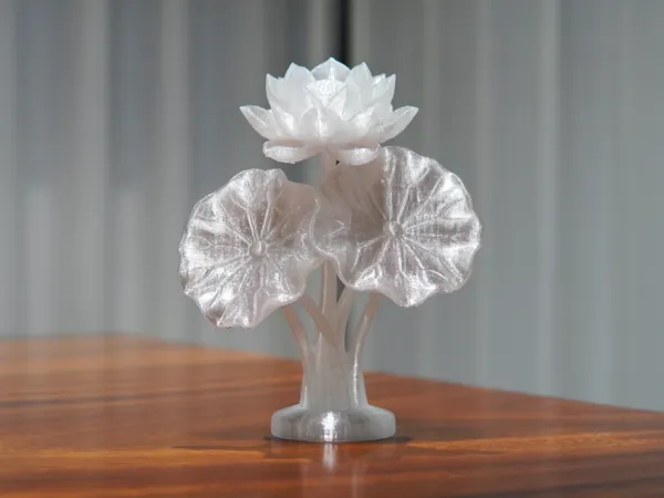 https://makerworld.bblmw.com/makerworld/model/DSM00000002547475/design/771764941dc85d7b.jpeg