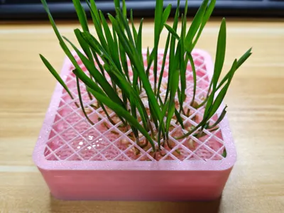 Material-saving Cat Grass Hydroponic Box with Protective Cover