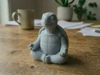 Tortue en méditation — photo 1