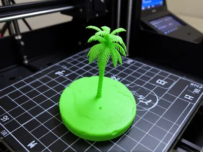 Palm tree