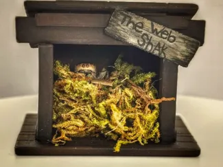 Spooder Hide (Spider Hide)