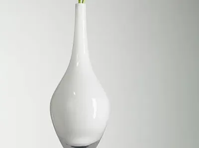 minimalist vase