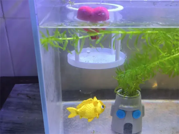 https://makerworld.bblmw.com/makerworld/model/DSM00000002550146/design/39c5c73724cb1e5a.jpg