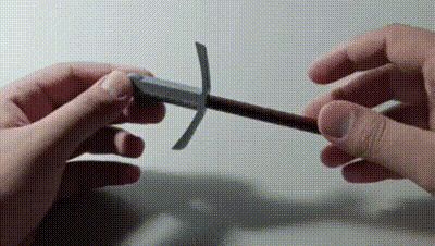 The BIC SWORD
