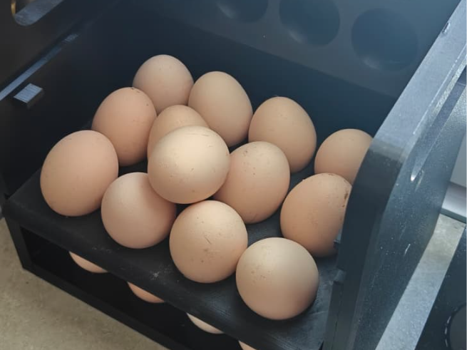EGG CONTAINER 36 PCS