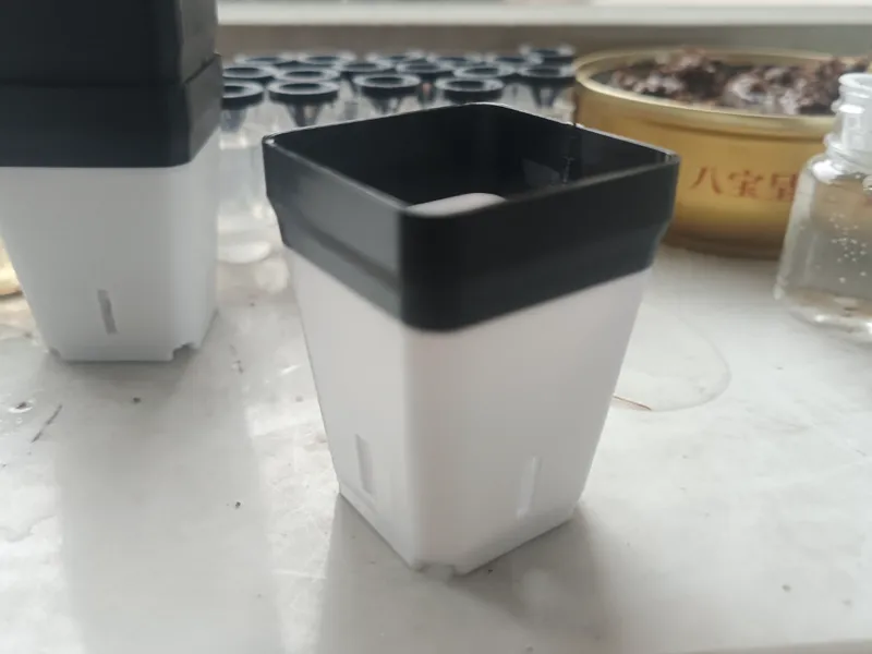 带透气的小型花盆，培养盆