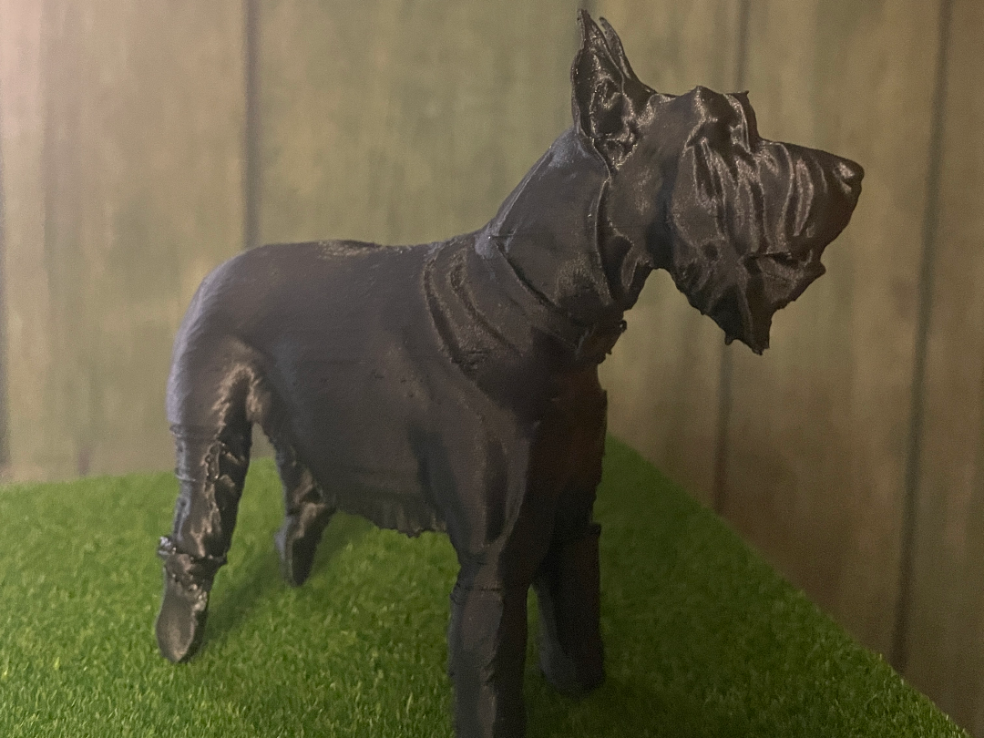 Giant Schnauzer