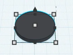 Disc