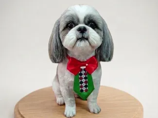 Cachorro shih tzu criado por IA