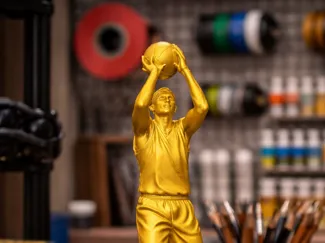 Trophy basketball