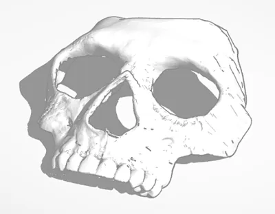 COD Ghost Mask-mask of Simon 