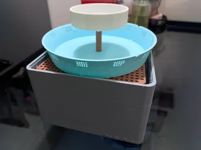 Pet Water Dispenser & Bird Bath
