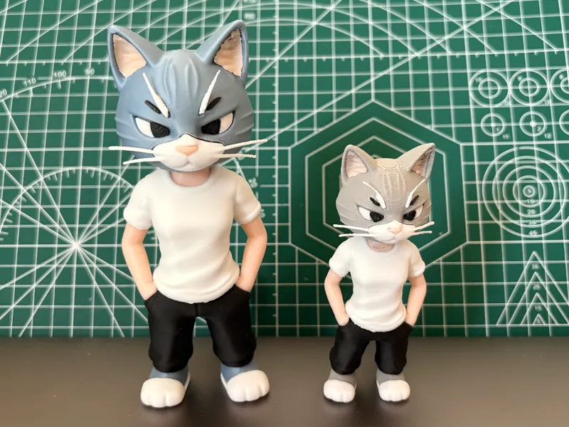 酷猫