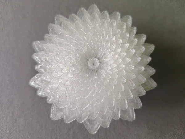 https://makerworld.bblmw.com/makerworld/model/DSM00000002556909/design/ef985d9227ff7993.jpg