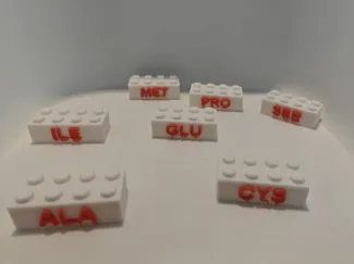 Amino Acid Bricks