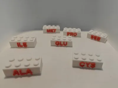 Amino Acid Bricks