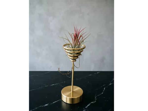 https://makerworld.bblmw.com/makerworld/model/DSM00000002557882/design/45fa800791171df9.png