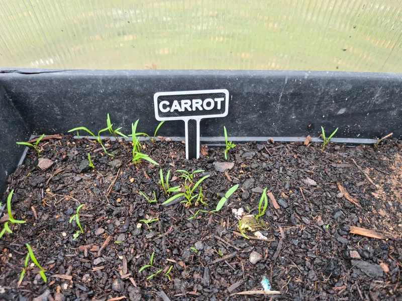 Plant/Seed Markers
