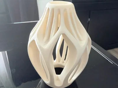 Modern curved vase