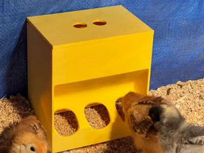 Baby chicken feeder