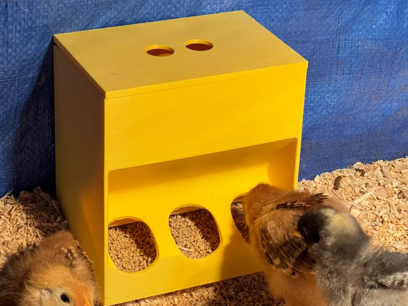Baby chicken feeder 
