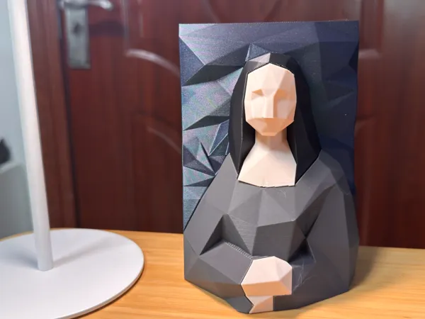 https://makerworld.bblmw.com/makerworld/model/DSM00000002561626/design/02a2f7c4d99f2683.jpg