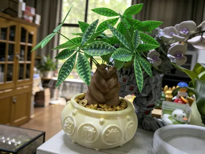 [Lucas Creation] Desktop Potted Plant Series - Rolling Wealth Money Tree