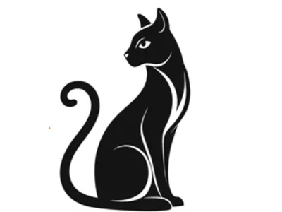 The Cat
