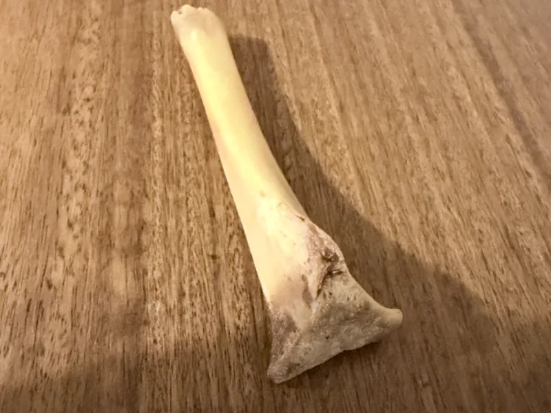 Cader Lamb Shank