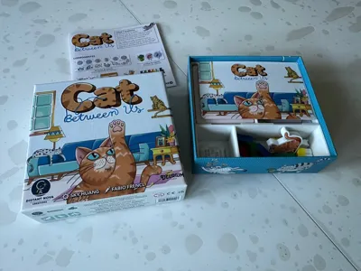 Cat Between Us Insert