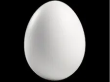 The Worlds best Fake EGG