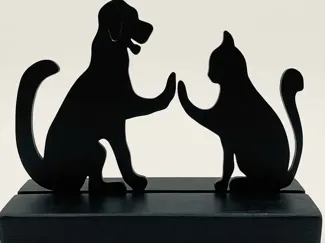 GATO E CACHORRO