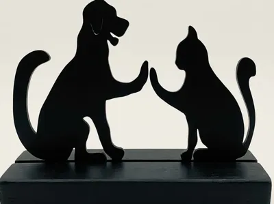 CAT AND DOG