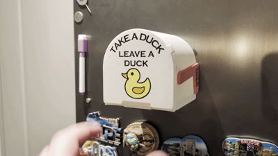 Duck Mailbox Print in place
