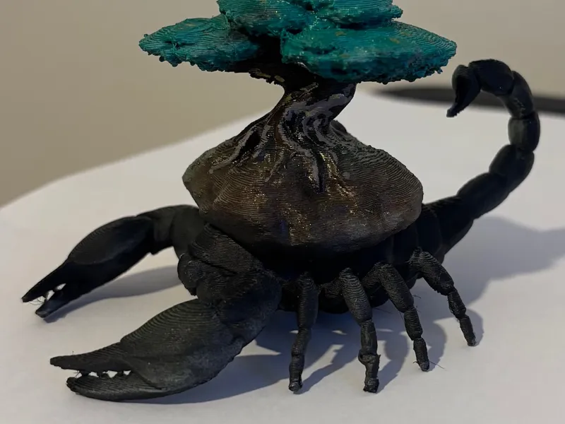 scop tree