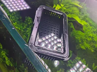 鱼缸漂浮型隔离盒