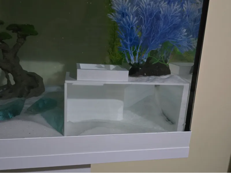 ACQUARIO