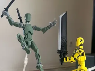 dummy 13