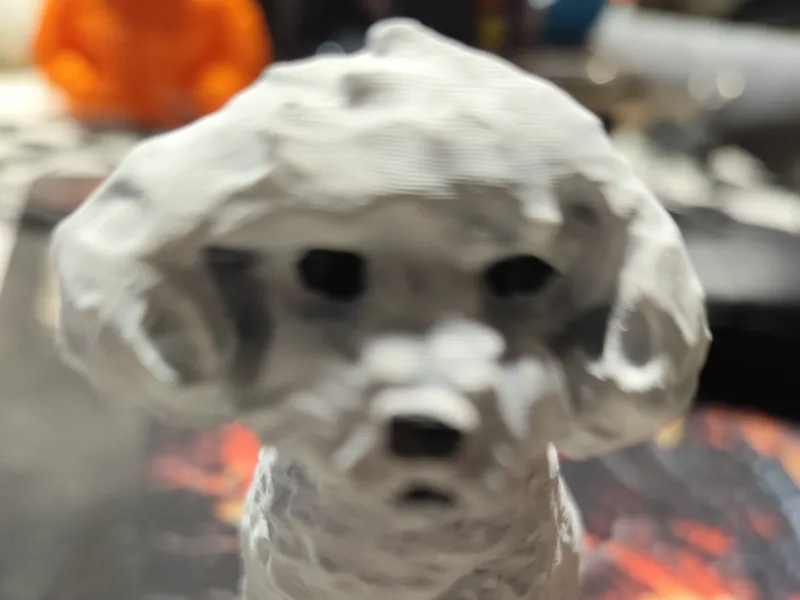 Caniche Blanco 