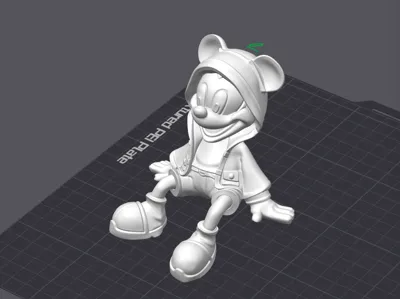 Mickey Mouse hoodie