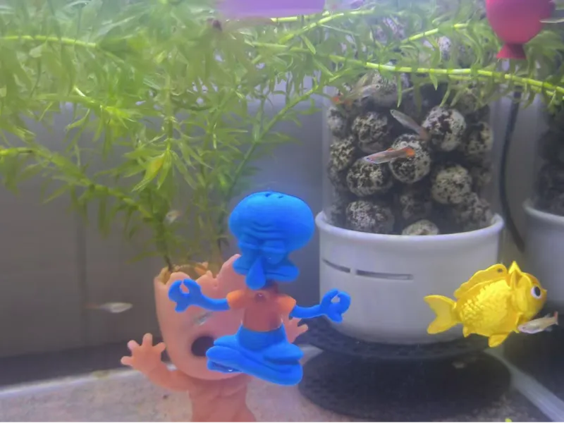 漂浮的鱼哥