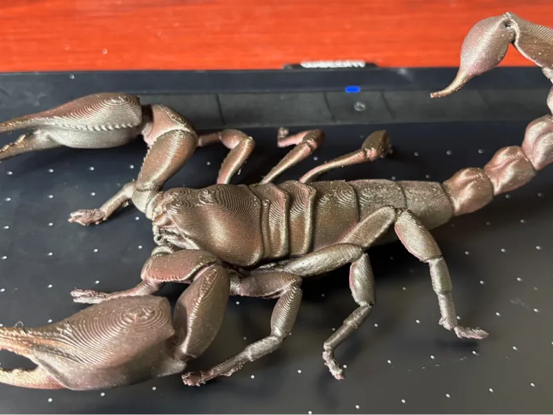 scorpion