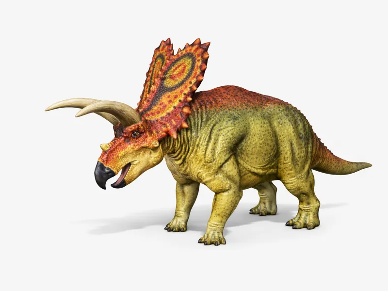 Coahuilaceratops Magnacuerna