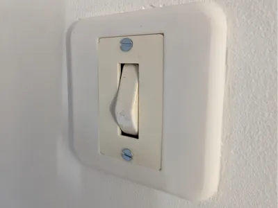 Old switch cover + outlet cover