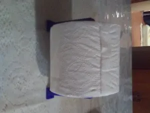 toilet paper holder
