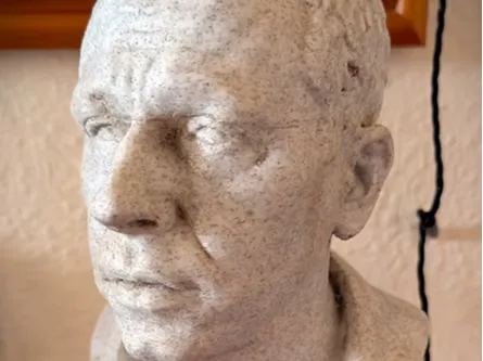 Gannon Bust