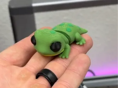 Gecko Flexi 