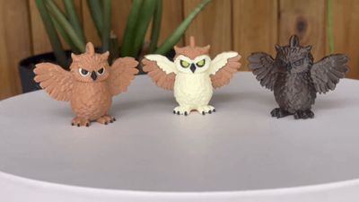 Night & Light Owls