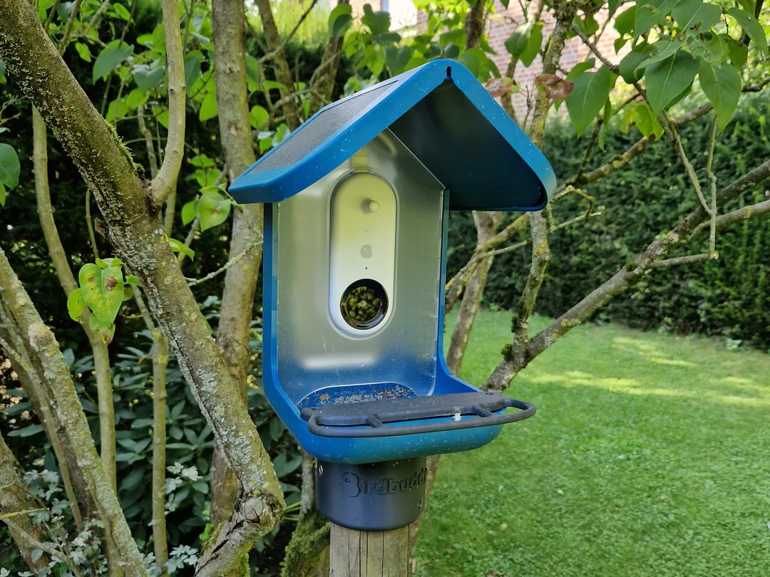 Birdbuddy Pole Mount (60mm + 45mm)