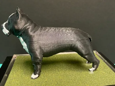 chicago Bullie